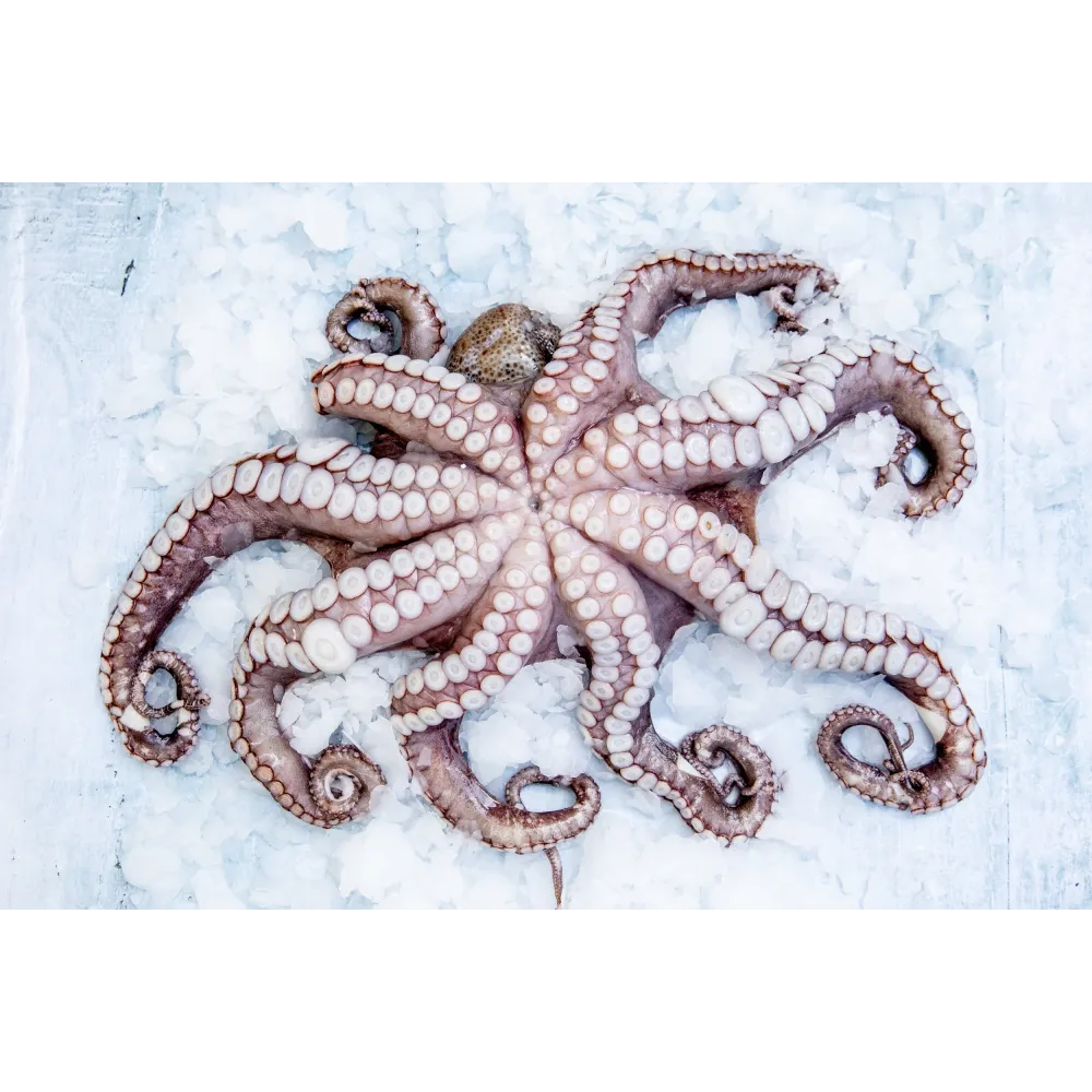 GR185 Ice Maker - Flake Ice Machine