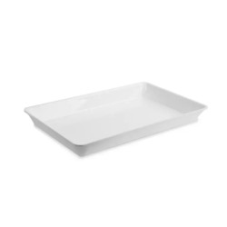 Plexi tray GN 1/1 50 container White