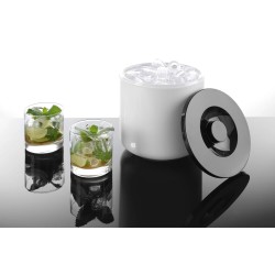 Ice container, white 5 L