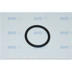 OR GASKET DELONGHI 5313238581