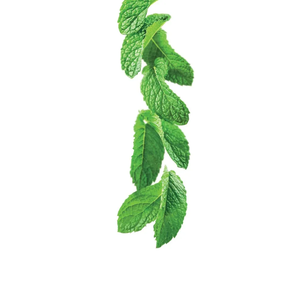 Roheline mündisiirup 1L