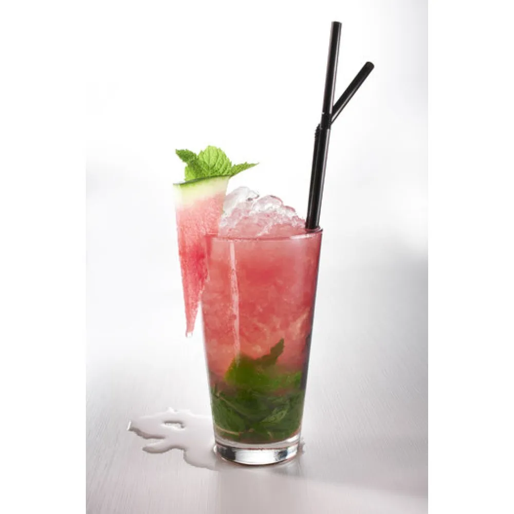 Persikų sirupas (1L)