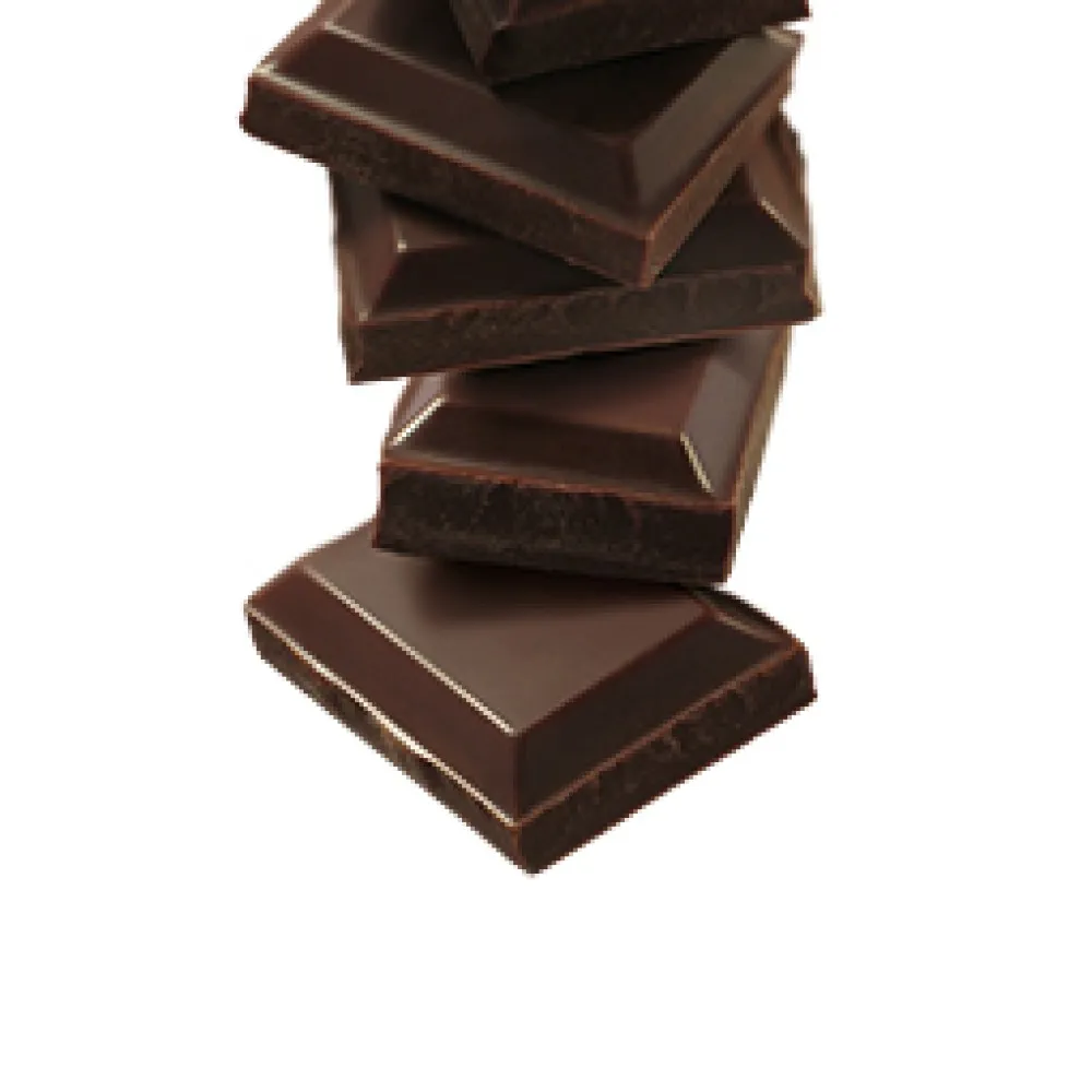 Gourmet Chocolate Sauce 500ml