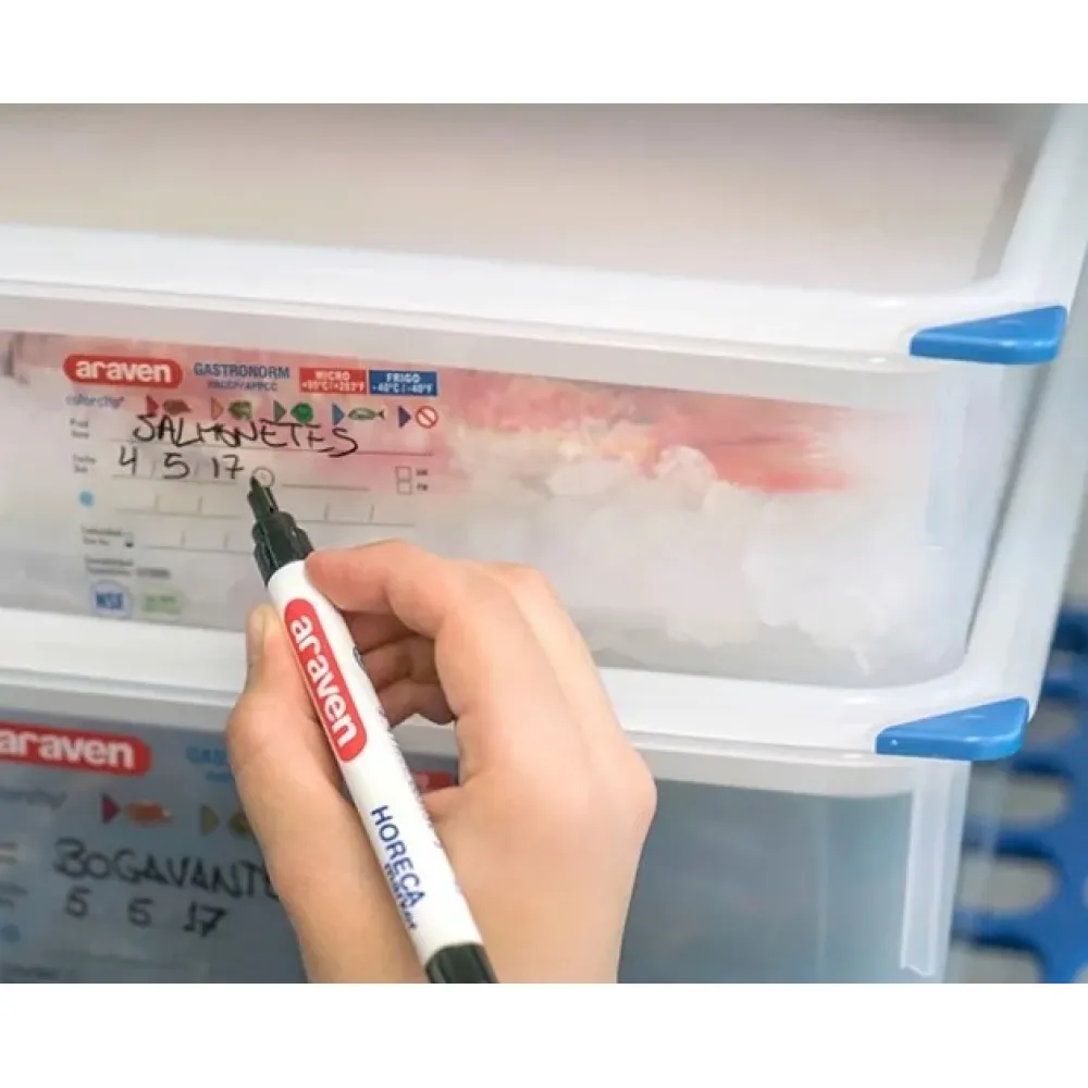 GN 1/3 H-100 mm sandarus indas su dangčiu