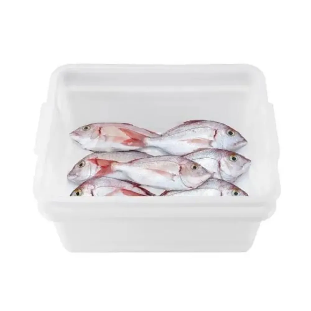 Ātrās atkausēšanas konteineru komplekts - 35 l