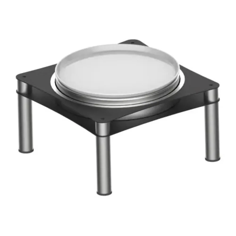 Mūsdienīgs Auksts Izstādes Plaukts NENA