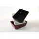 Polümetüülmetakrülaadist GN 1/5 80 mm Plexi nõu Must (A00006229)