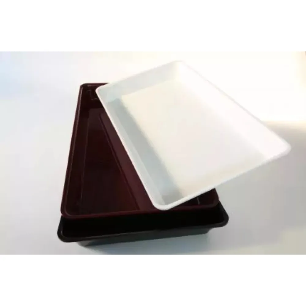 Polümetüülmetakrülaadist GN 1/1 50 mm Plexi nõu Valge (A00009556)