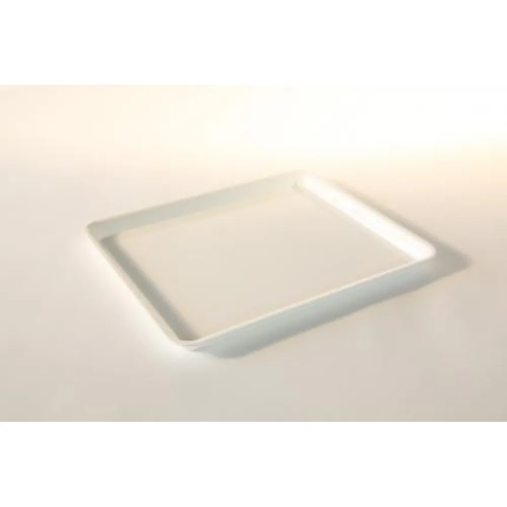 Polümetüülmetakrülaadist GN 1/2 20 mm Plexi nõu valge (A00002754)