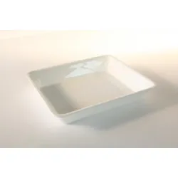 Polümetüülmetakrülaadist GN 1/2 50 mm Plexi nõu valge