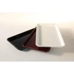 Polümetüülmetakrülaadist GN 1/3 20 mm Plexi nõu Valge