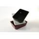 Polümetüülmetakrülaadist GN 1/5 80 mm Plexi nõu valge (A00006228)