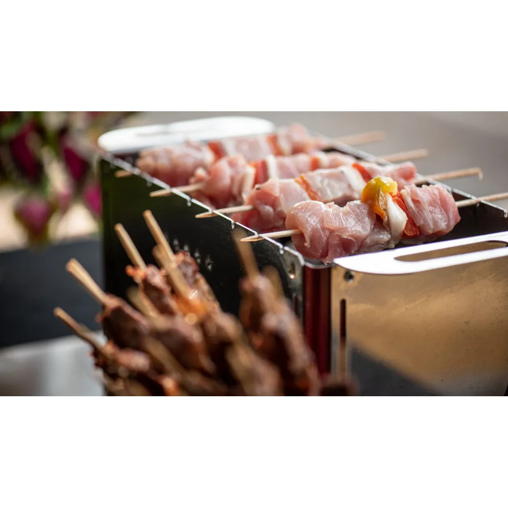 Fiesta 5 Medžio Anglių Grilis