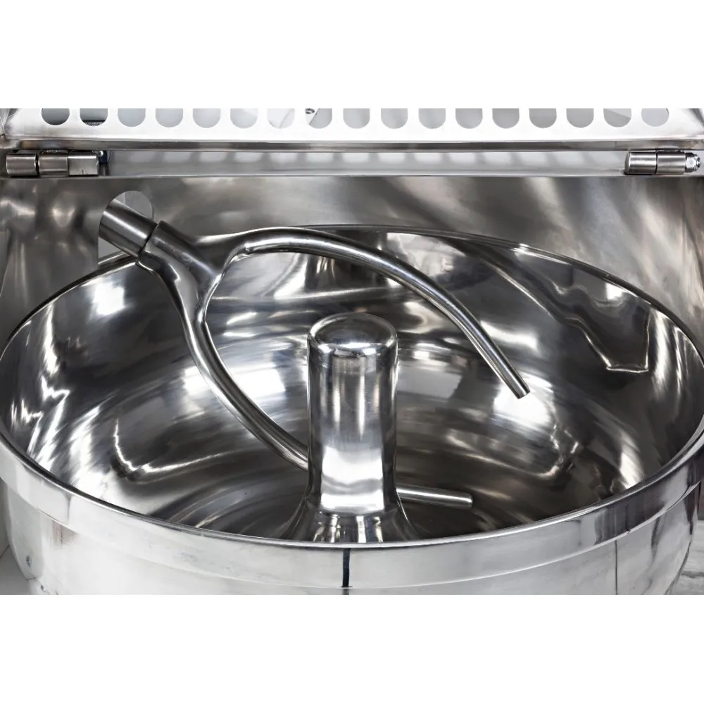 Pétrin Électrique Professionnel 30 kg