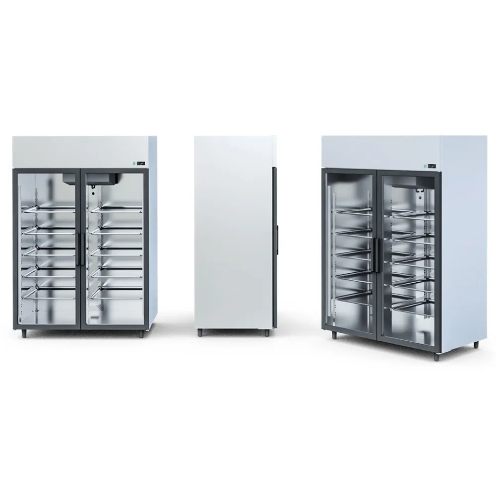 OLA2 AG-GASTRO ledusskapis