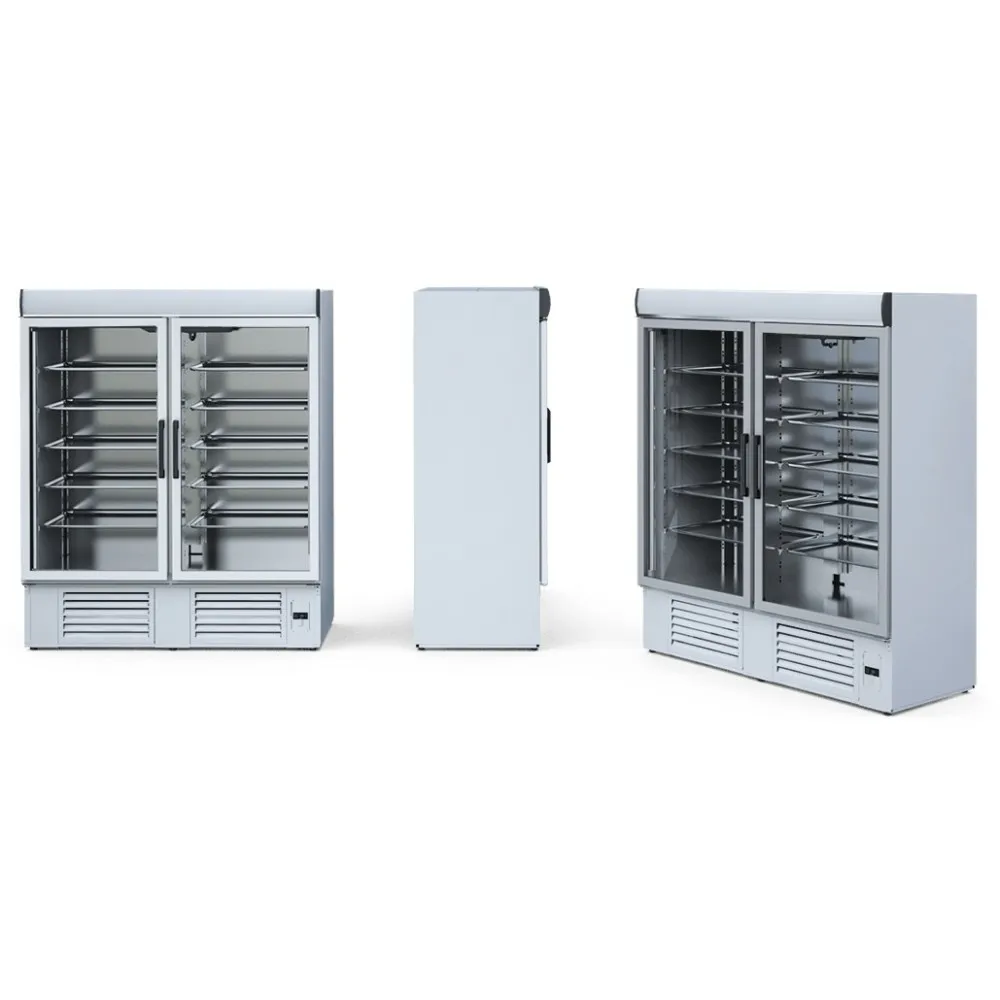 OLA2 GASTRO ledusskapis