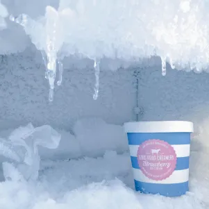 Kui tihti tuleks sügavkülmikut sulatada?