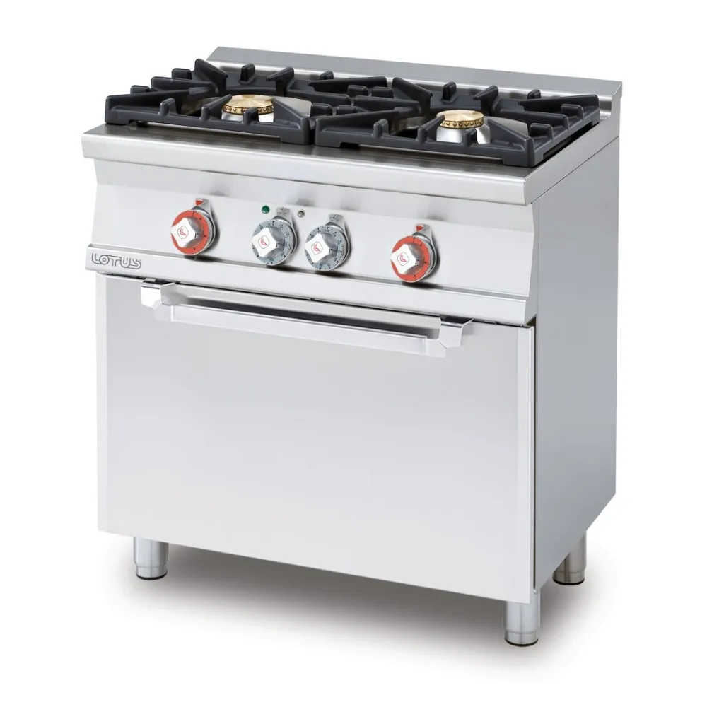 Professional Dual-Burner Gas Range with Static Electric Oven