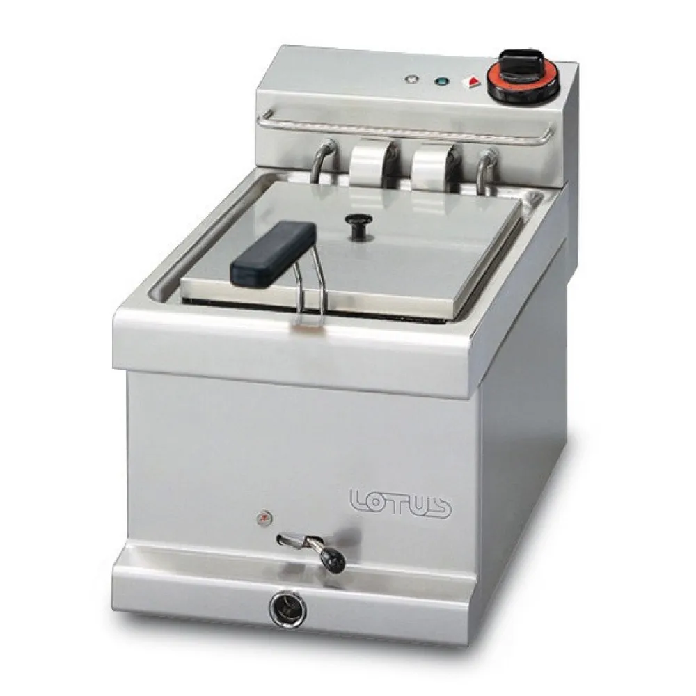 Professional 6L Electric Fryer