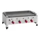 Ultimate Outdoor Gas Combi Grill