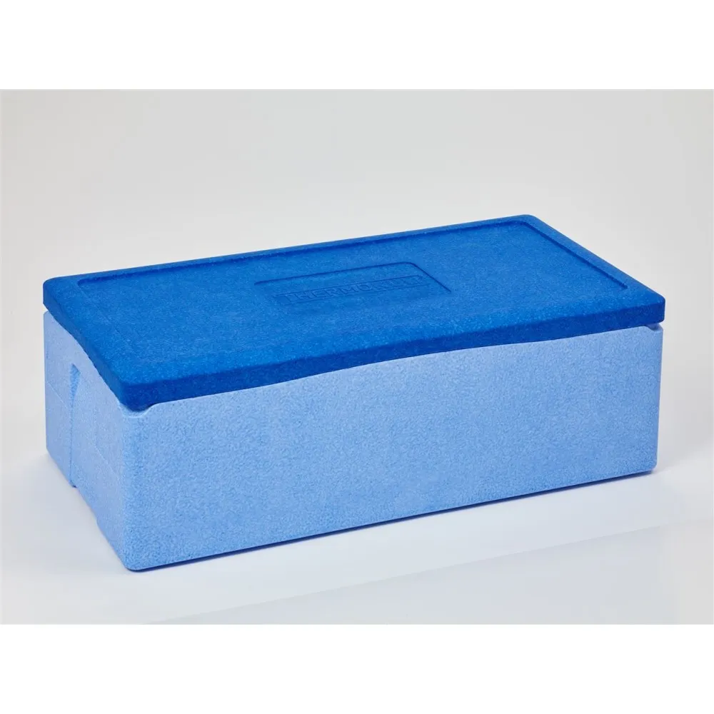 Термоящик 55 л — идеальный помощник для пикников и путешествий