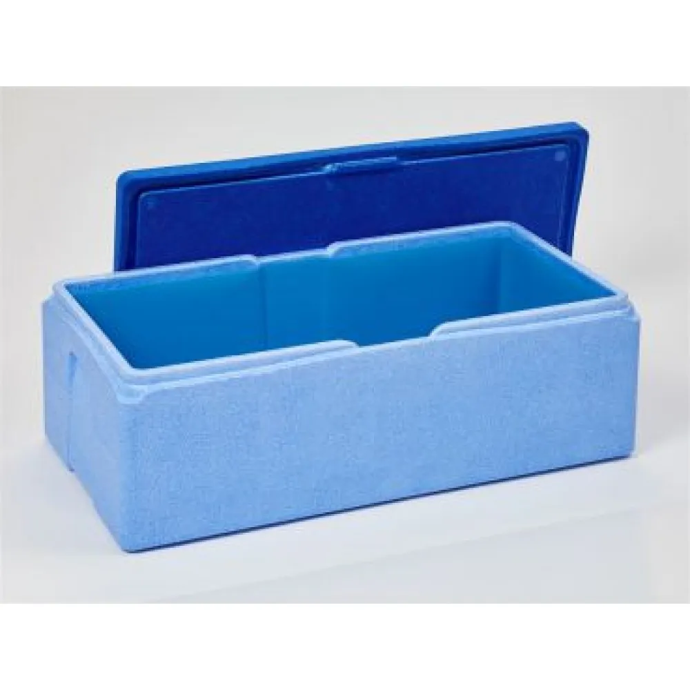 Термоящик 55 л — идеальный помощник для пикников и путешествий