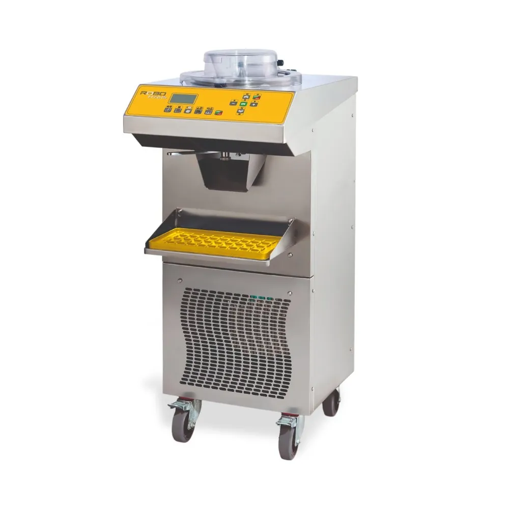 Daugiafunkcinis pasterizatorius R51