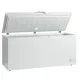 Praktiska Saldētava-lāde CF 560
