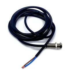 Magnetic sensor
