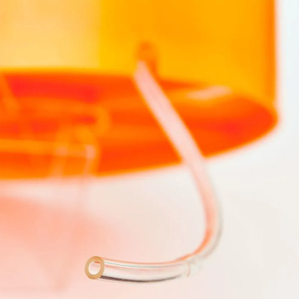 Köögisõbra Salatikäitja