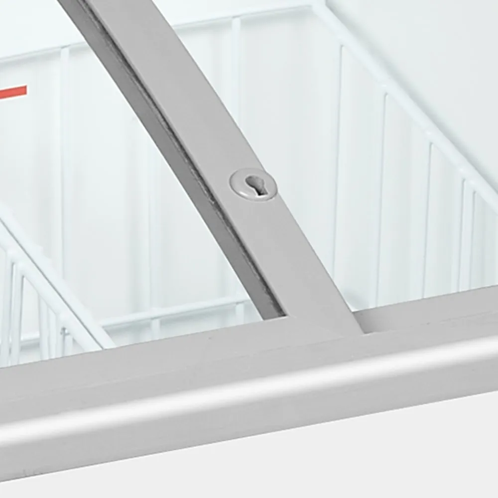 Eleganta Saldējuma Vitrīna 85 Litri