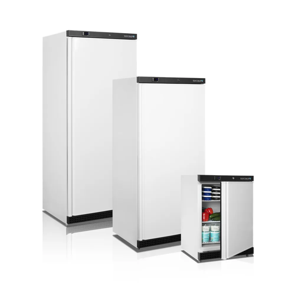 Korvidega sügavkülmik UF 555L