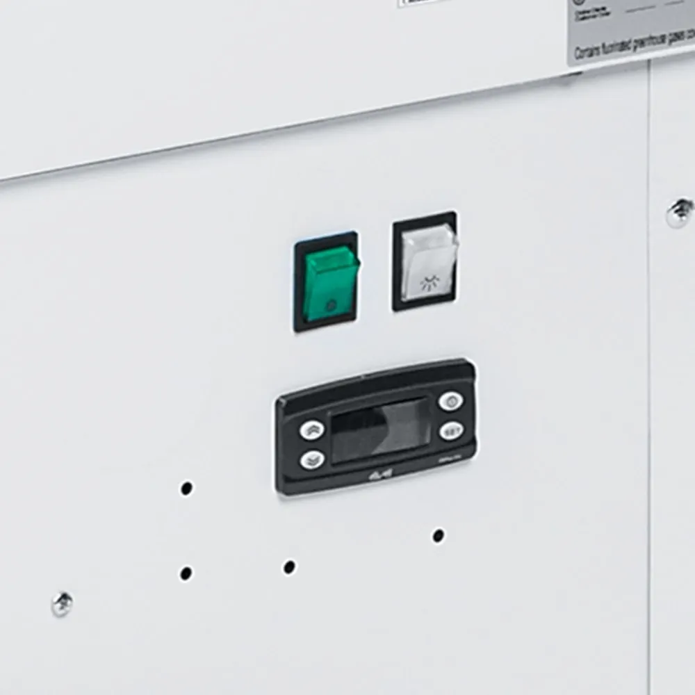 Kompaktne jäätisekülmik 0,24 m²