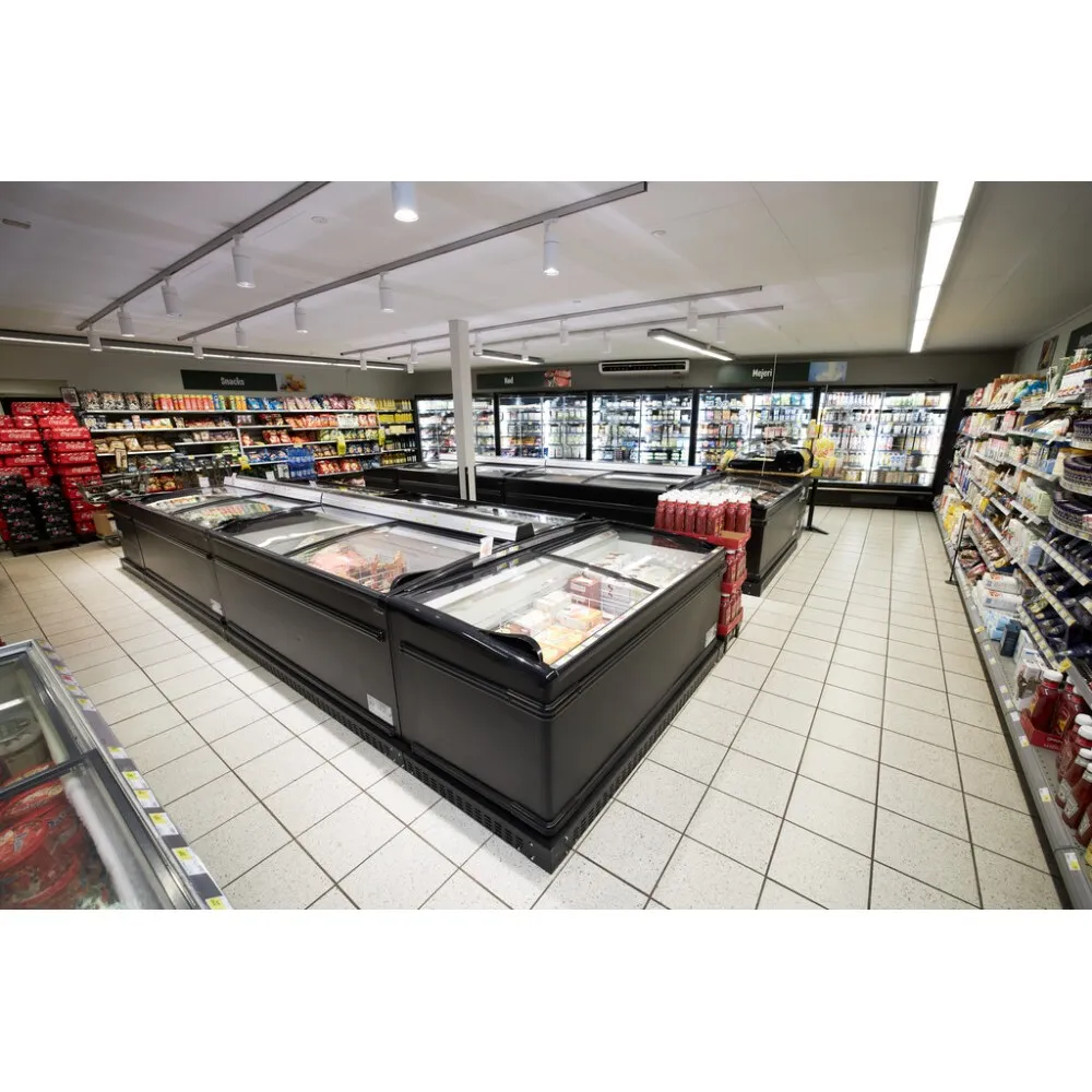 Supermarketi Külmik-Sügavkülmik 422 l