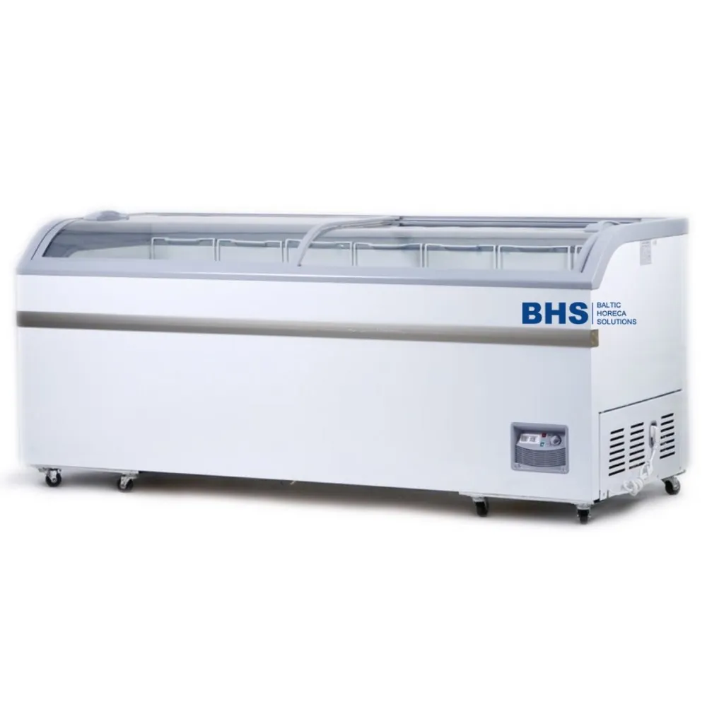 Vitrine Congélateur Professionnelle XS602E