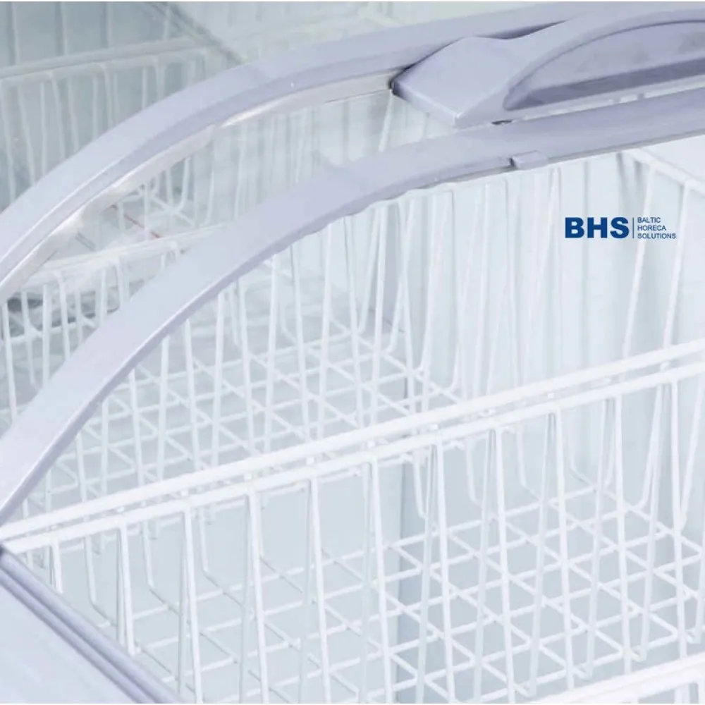 Vitrine Congélateur Professionnelle XS602E