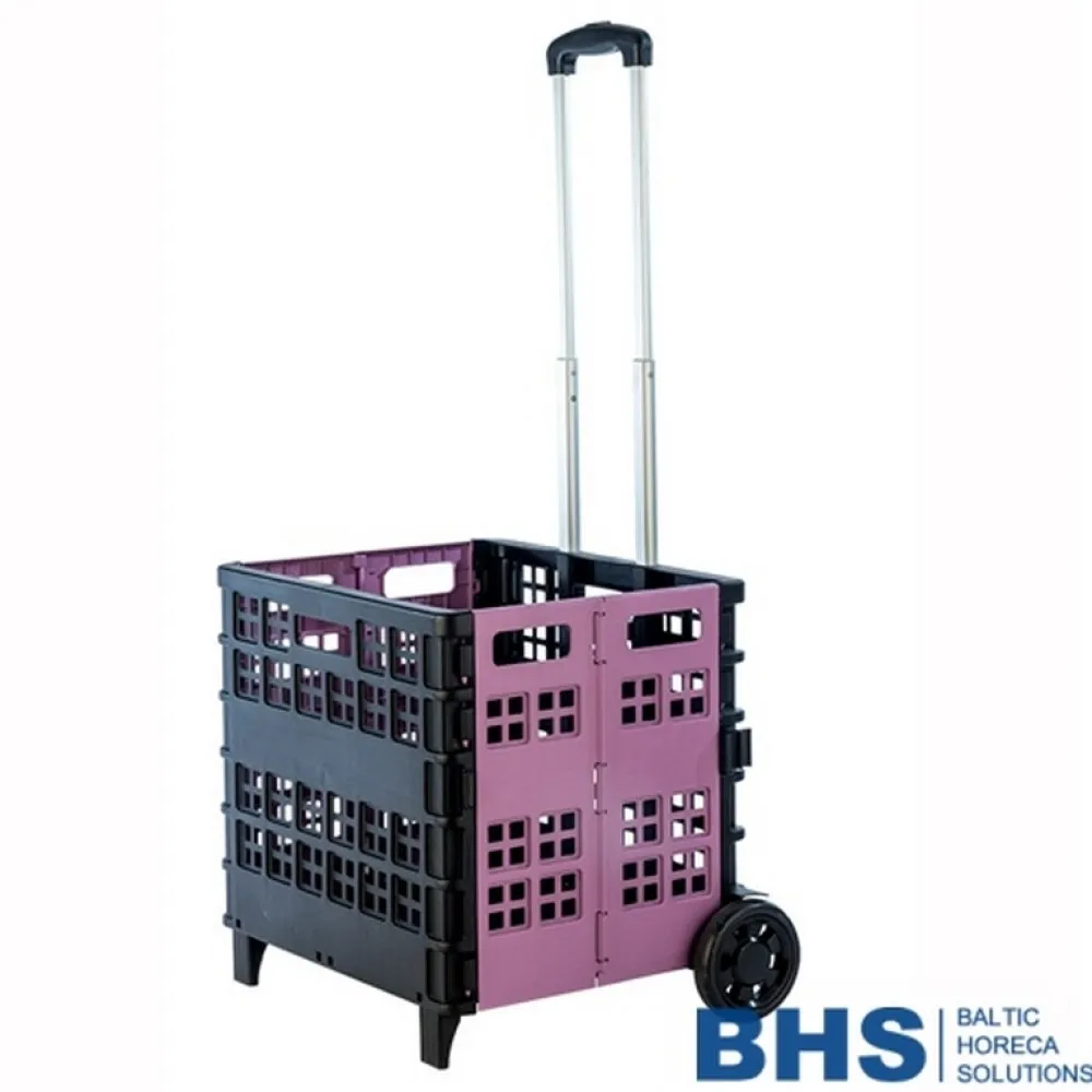 PRACTIK Pirkinių Krepšelis