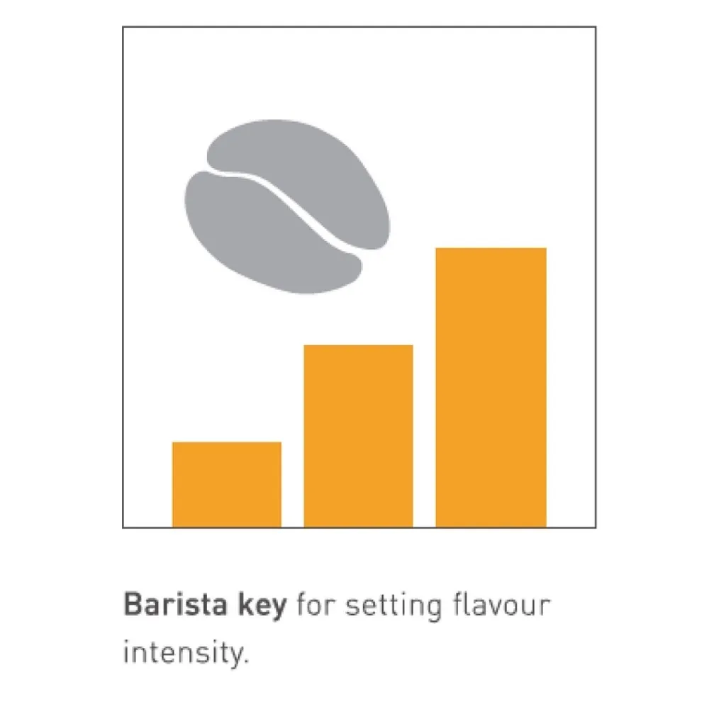 SCHAERER SOUL - Kohvi Süda