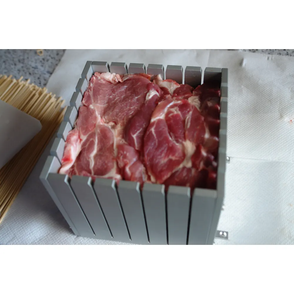 Arrosticini grill AR100