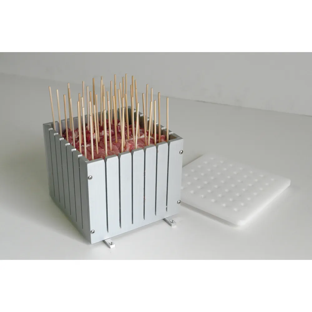 Arrosticini grill AR100