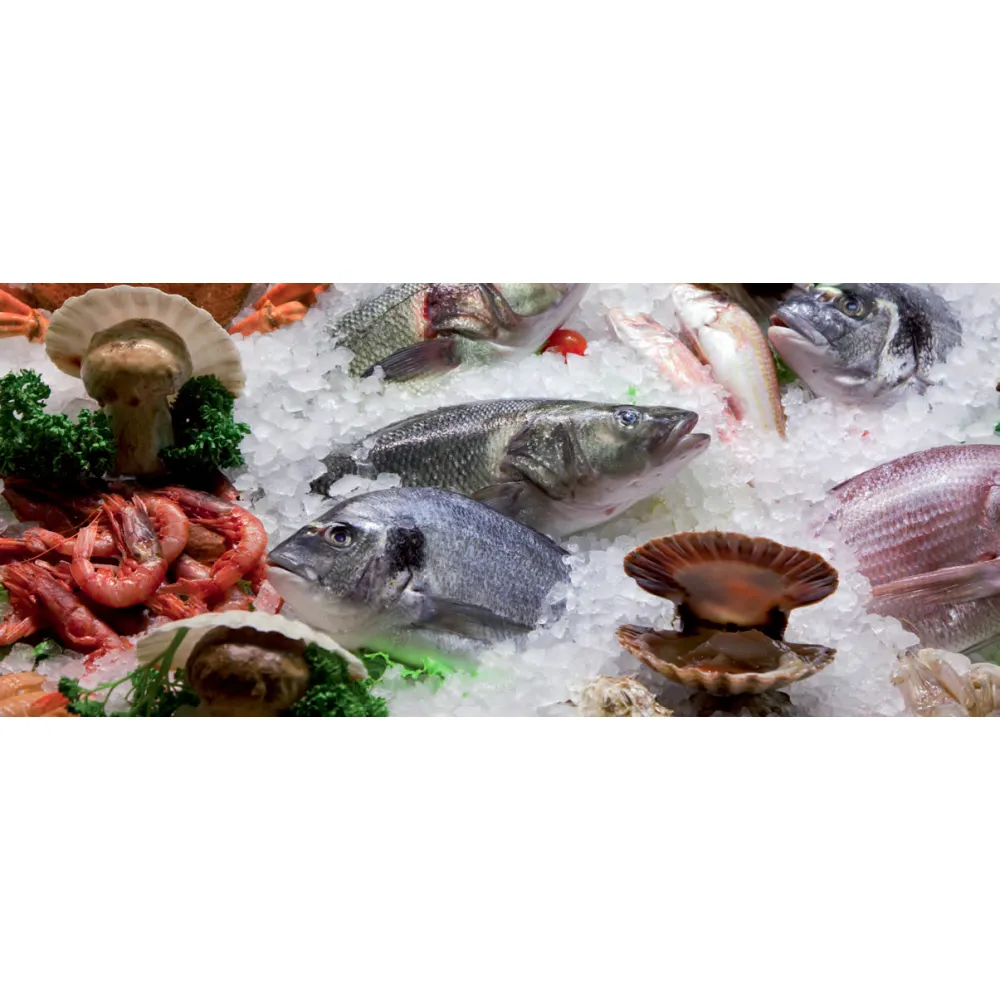 Générateur de Glace CD90 - 88kg/24h