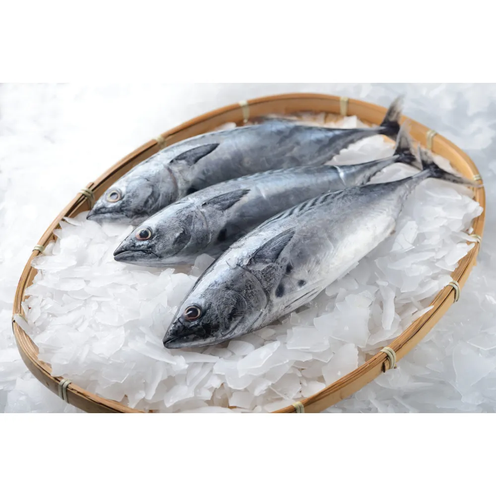 Générateur de glace SC1.5TN-S