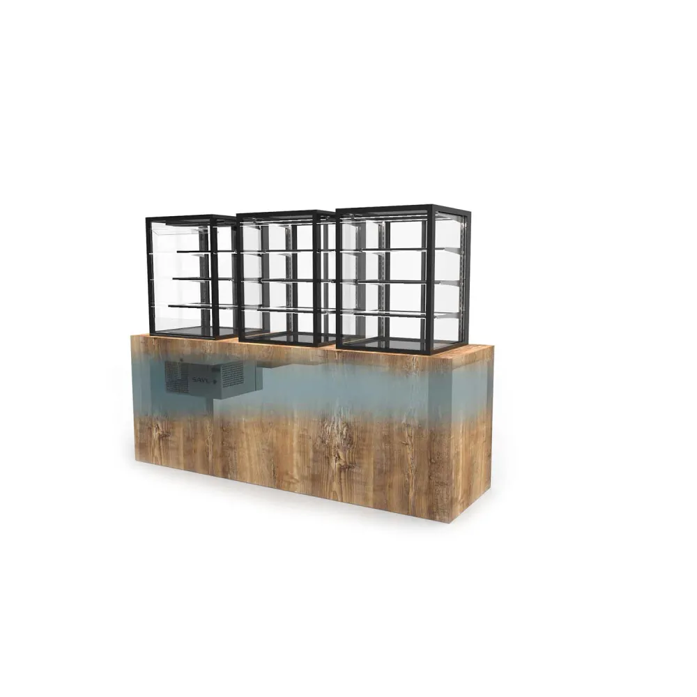 Vitrina INTEGRO DROP-IN IN-60-50N