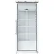 Eco-Friendly Glass Door Freezer G-EFV600G