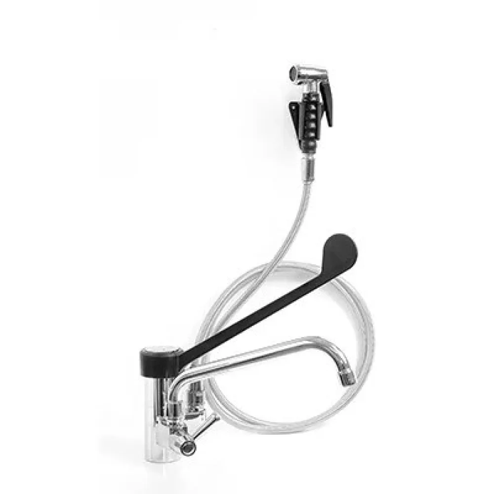 Veesegisti Professionaalne 20265