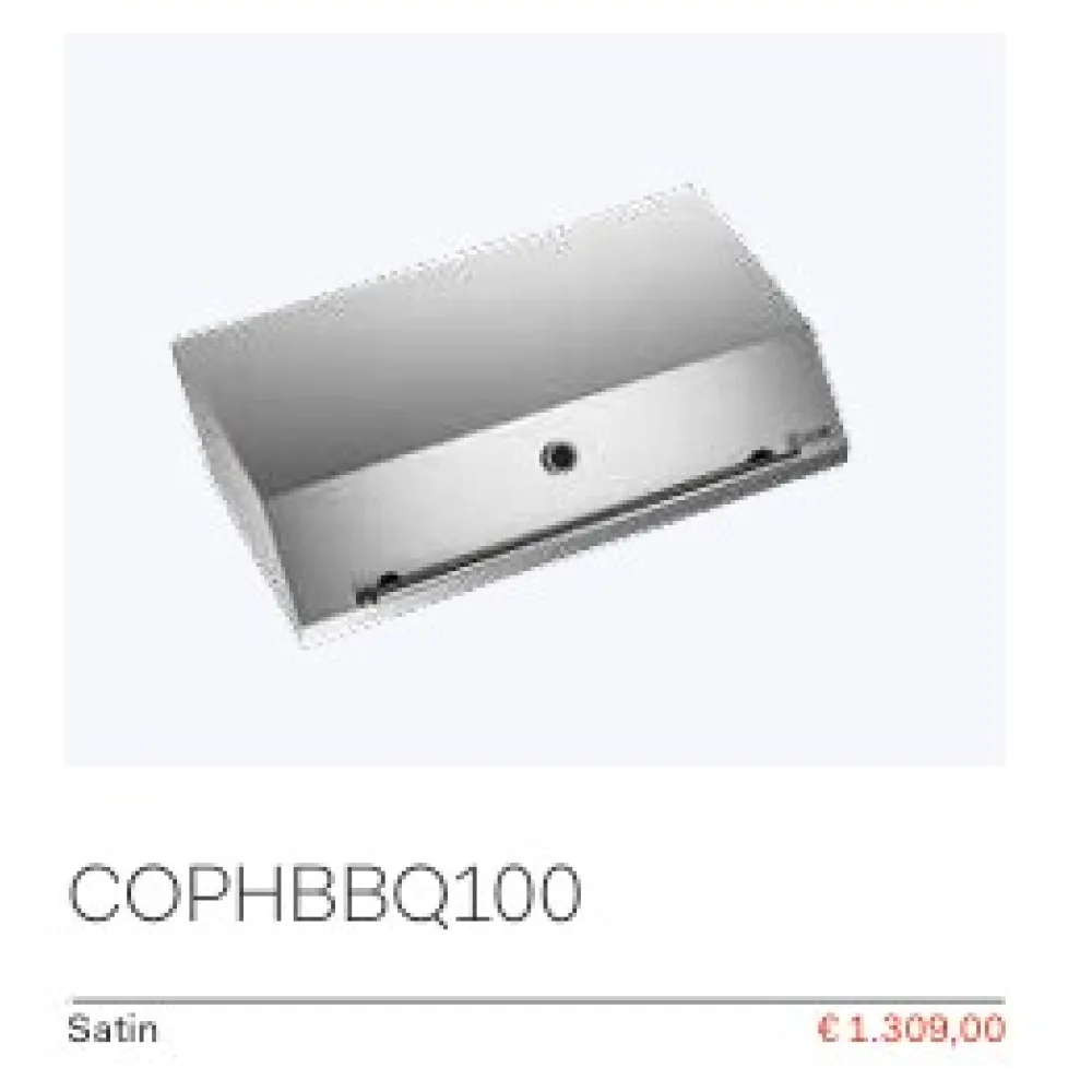 Barbecue d'extérieur encastrable Premium 100 cm