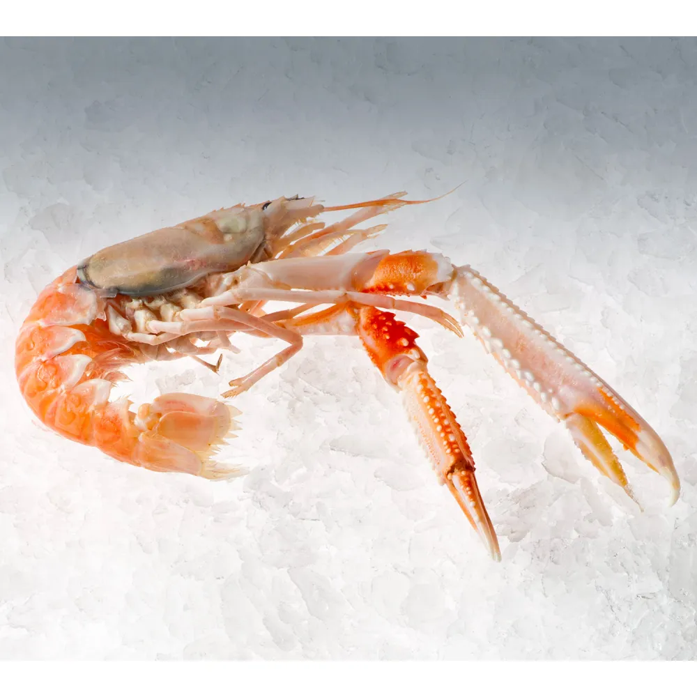 KFE1500 Ledo Generatorius