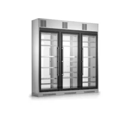 Veinivitriiin külmik WL6/326P 260h