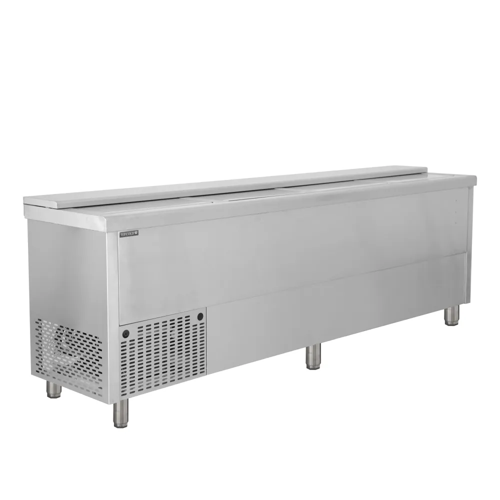 Premium Stainless Steel Bottle Chest Cooler BHC250X1