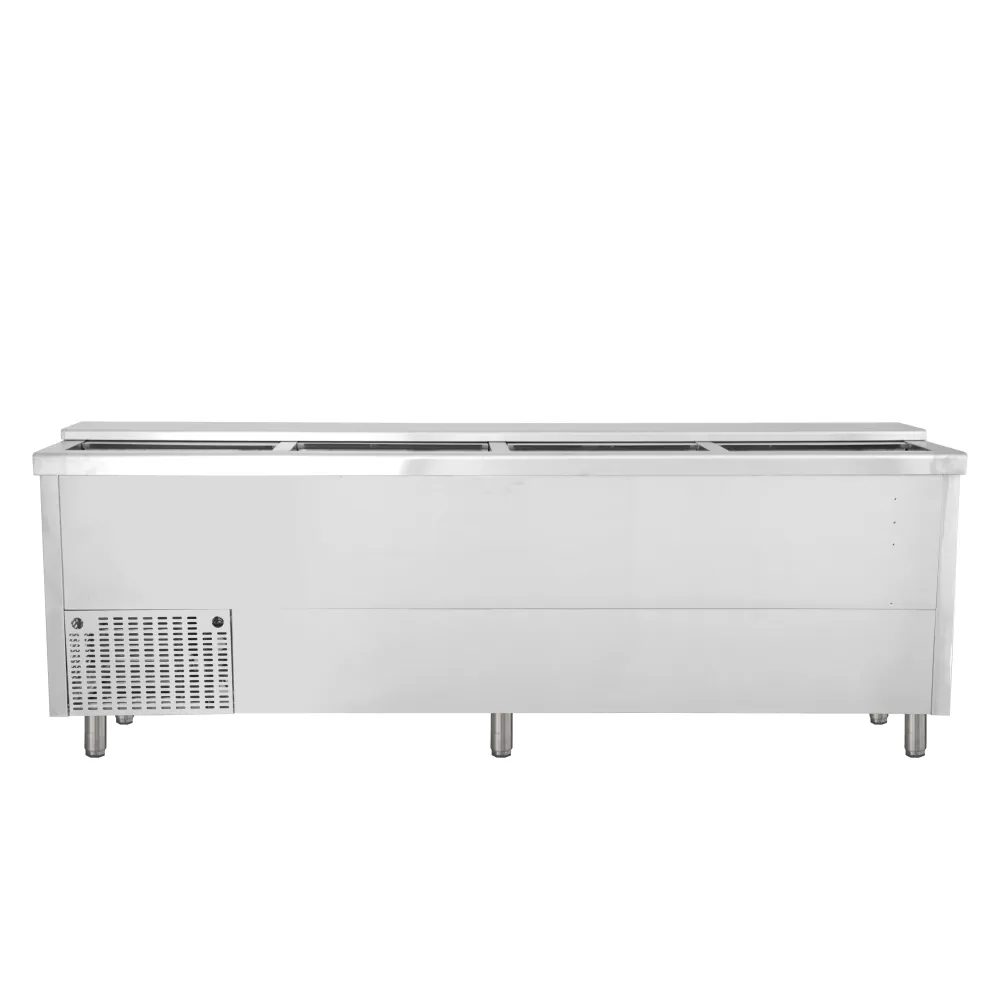 Premium Stainless Steel Bottle Chest Cooler BHC250X1